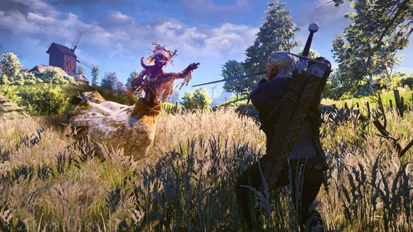 Witcher 3 wraith
