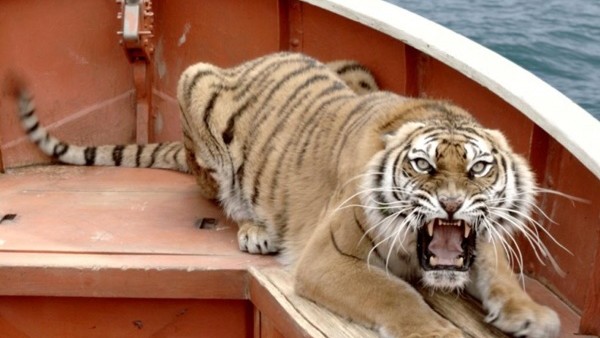 Life of Pi