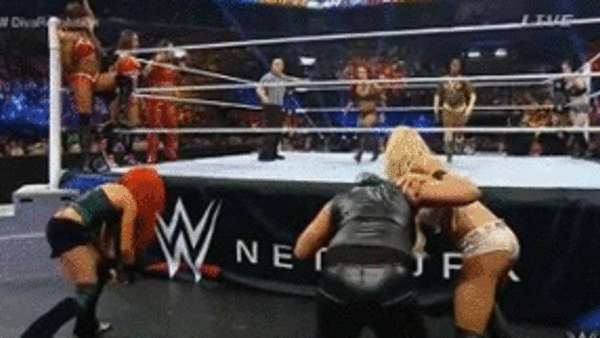 Team PCB B.A.D. Tamina SummerSlam 2015