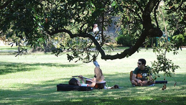Relaxing under a tree