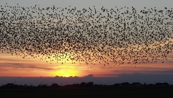 Quantum Physics Lines