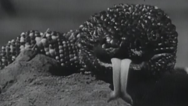 Giant Gila Monster