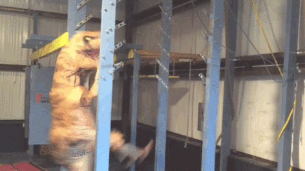 t rex exercise