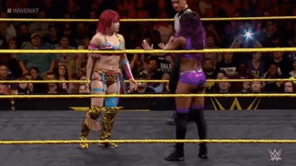Asuka Cameron Armbar Slap NXT