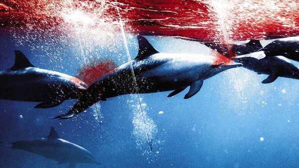 The Cove film