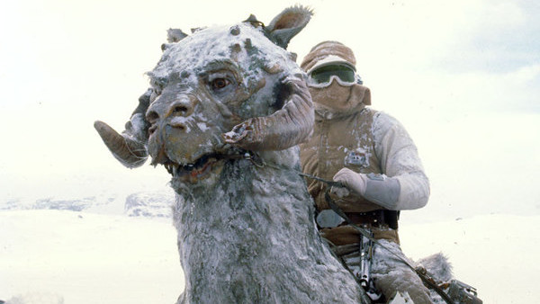 Tauntaun Hoth Star Wars