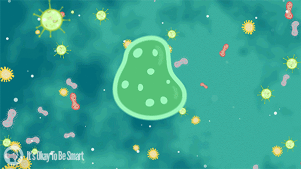 superbugs bacteria