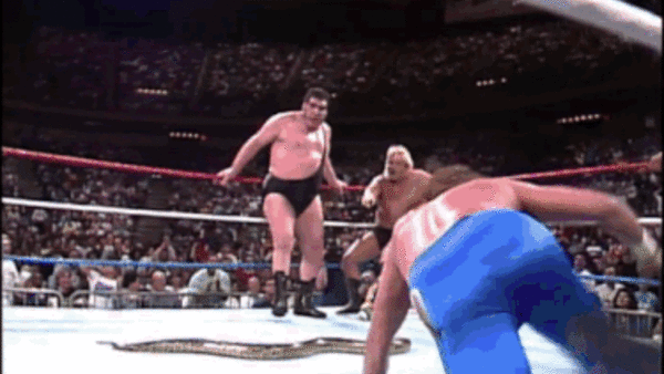 Andre The Giant 