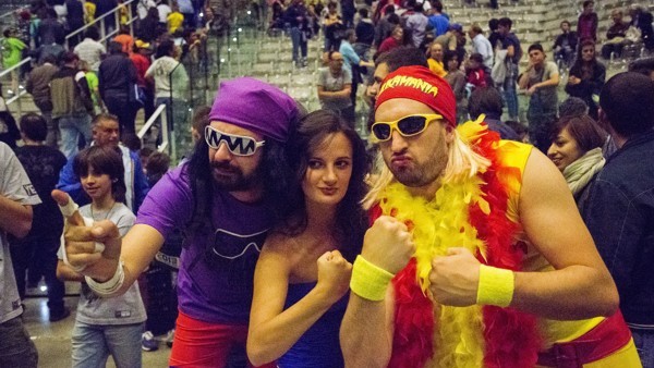 wwe fans