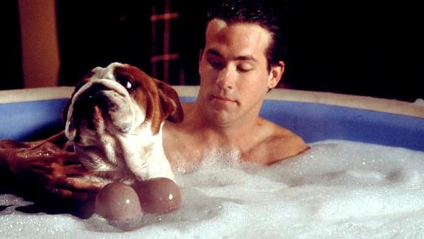 ryan reynolds van wilder