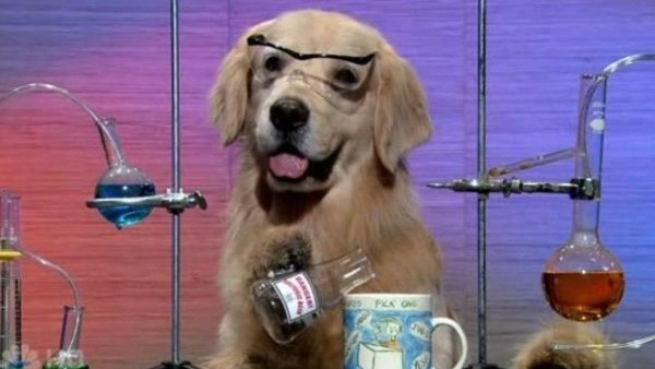 Dog science