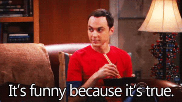 Big Bang Theory True Gif