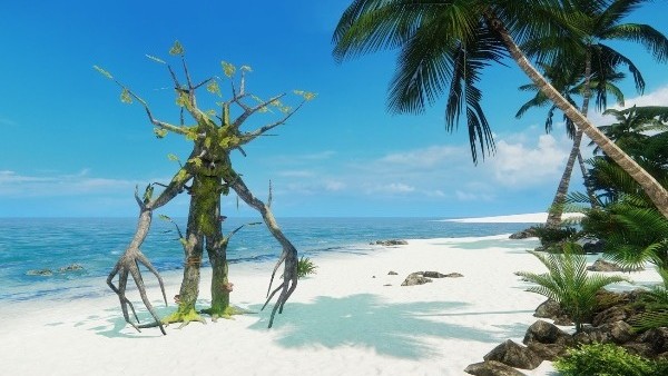 Wander tree
