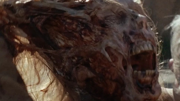 The Walking Dead Last Day on Earth