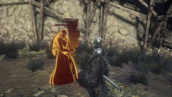 dark souls 3 multiplayer cooperation