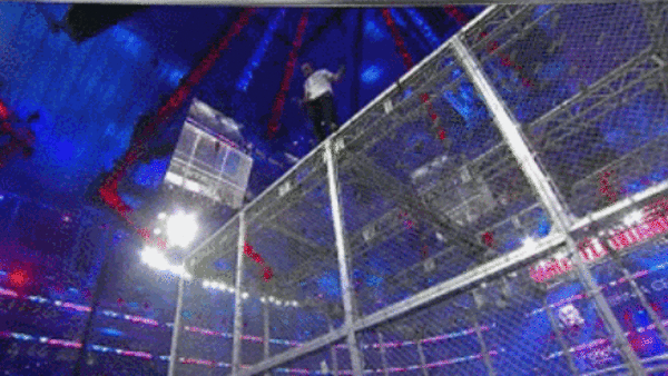 Shane McMahon Dive off Cell.gif