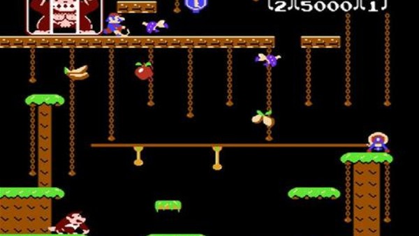 donkey kong jr