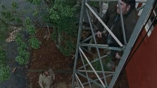 Library The Walking Dead