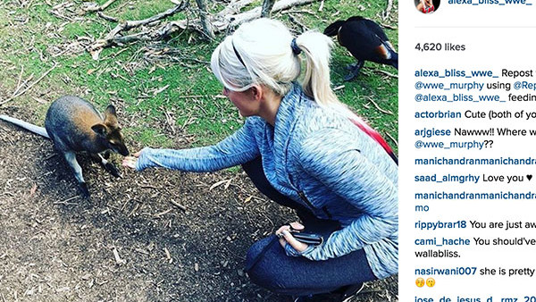 Alexa Bliss Wallaby Instagram.jpg