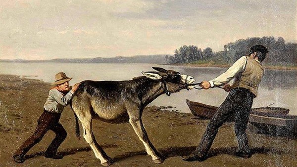 Stubborn mule