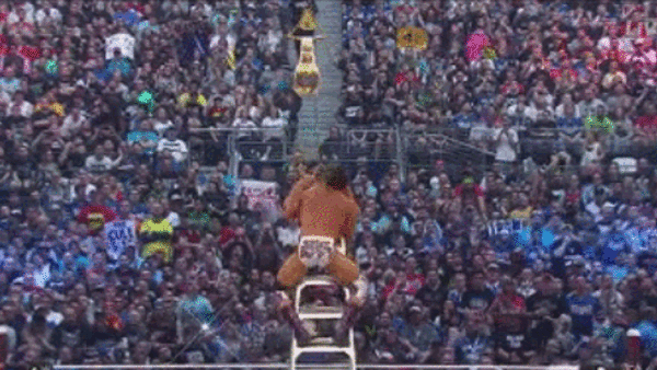 ziggler ryder fall off ladder wm32.gif