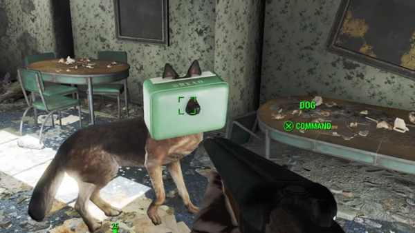 fallout 4 bug glitch