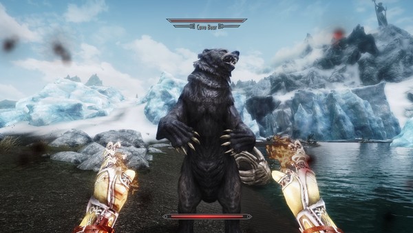 Skyrim combat.jpg