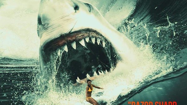 MEG SPECIAL EDITION-FRONT-COVER.jpg