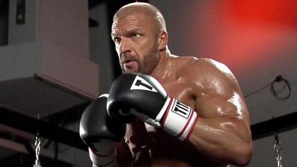 triple h boxing gloves