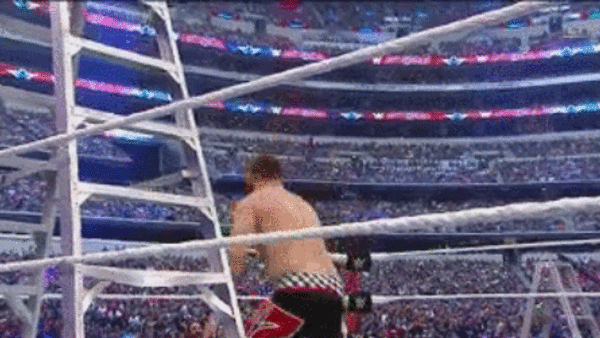 Zayn Dive Through LAdder WM32.gif