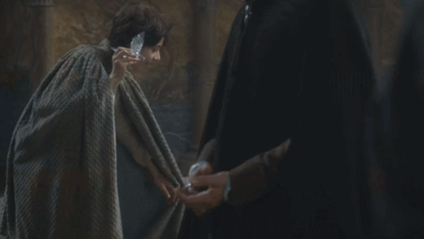 Game of Thrones Robin Arryn falcon