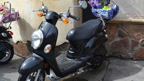 Scooter Universal Studios Hollywood