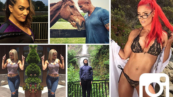 WWE Instagram Header