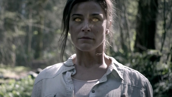 Arrow Lost in the Flood