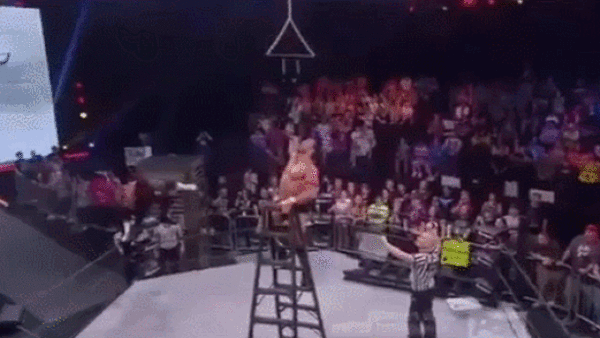 bram dropkick eli drake off ladder.gif