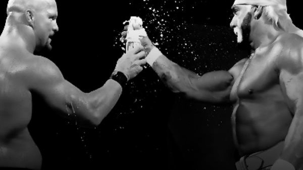 stone cold hulk hogan