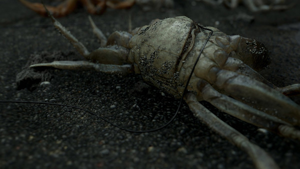 Death Stranding