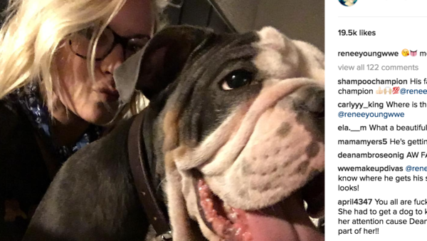 Renee Young Dog Instagram