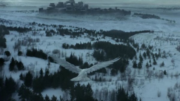 Game Of Thrones White Crow