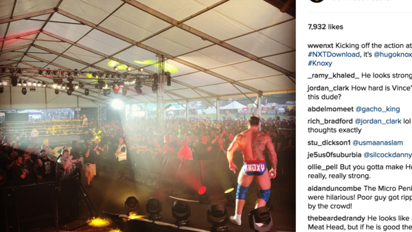 Hugo Knox Download Instagram