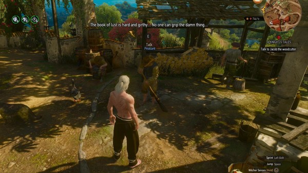 witcher 3 peter gabriel easter egg 