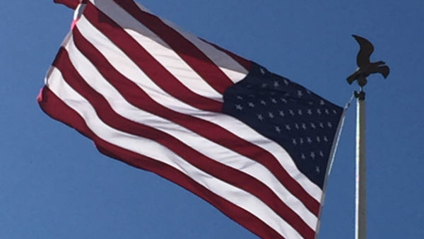 Hidden Mickey Solar Panels Disney World