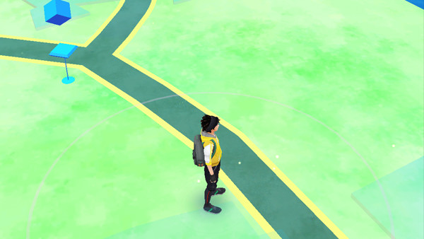 Pokemon go