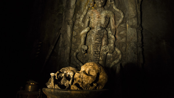 Skull Island Reign Of Kong_11