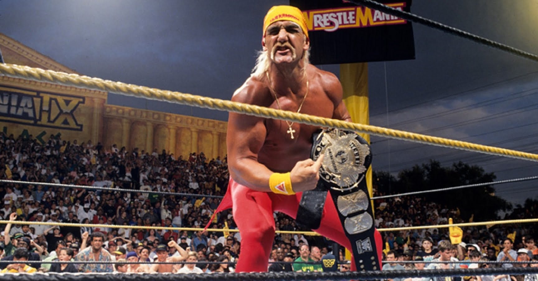 hulk hogan wrestlemania 9