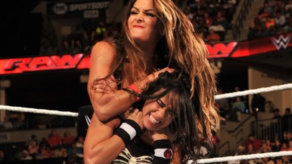 Shawn Michaels Bret Hart Jim Ross 1996 Raw