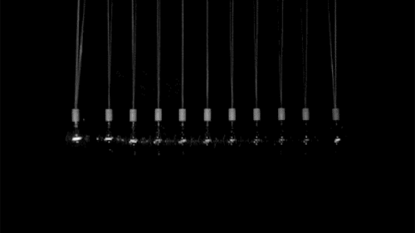 lightbulb newton cradle