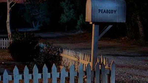 Peabody Back To The Future