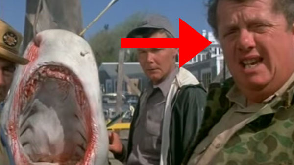Tiger Shark Jaws