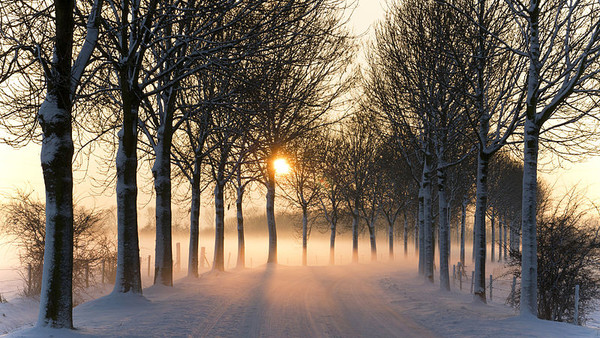 800px Misty Winter Afternoon (5277611659)